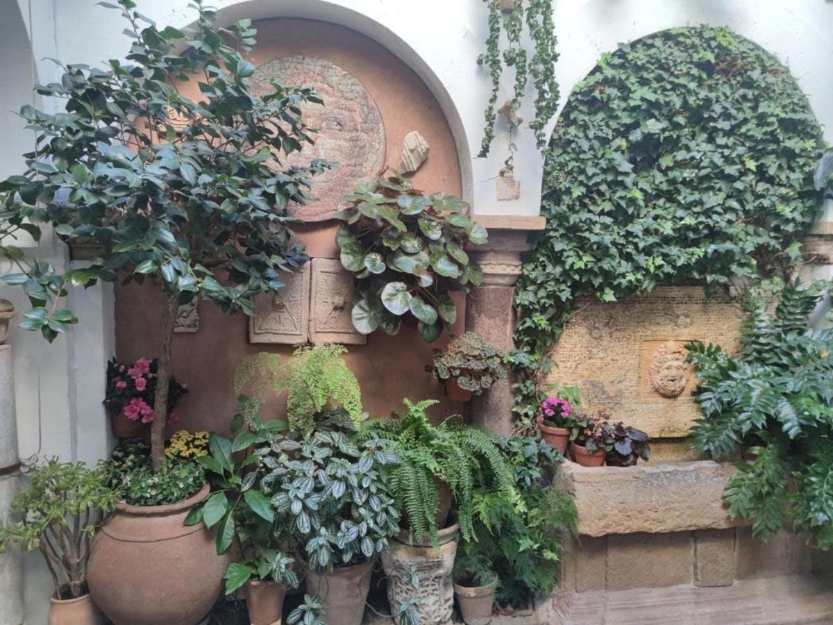 El Capricho De San Fernando, Consigna Gratis Y Parking A 200Mts Lejlighed Córdoba Eksteriør billede