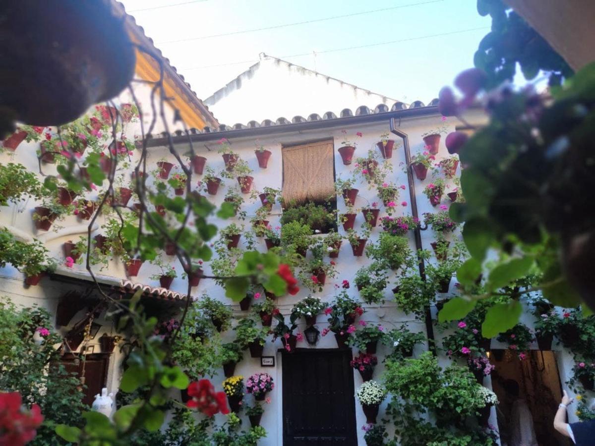 El Capricho De San Fernando, Consigna Gratis Y Parking A 200Mts Lejlighed Córdoba Eksteriør billede
