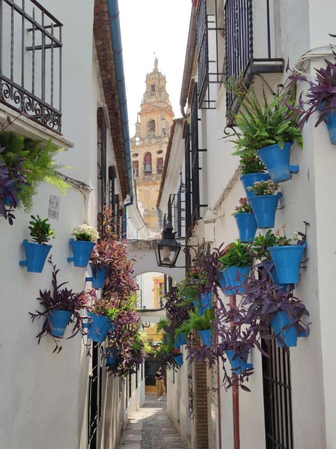 El Capricho De San Fernando, Consigna Gratis Y Parking A 200Mts Lejlighed Córdoba Eksteriør billede