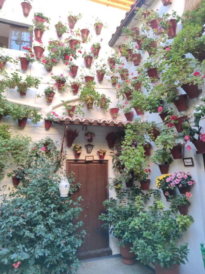 El Capricho De San Fernando, Consigna Gratis Y Parking A 200Mts Lejlighed Córdoba Eksteriør billede