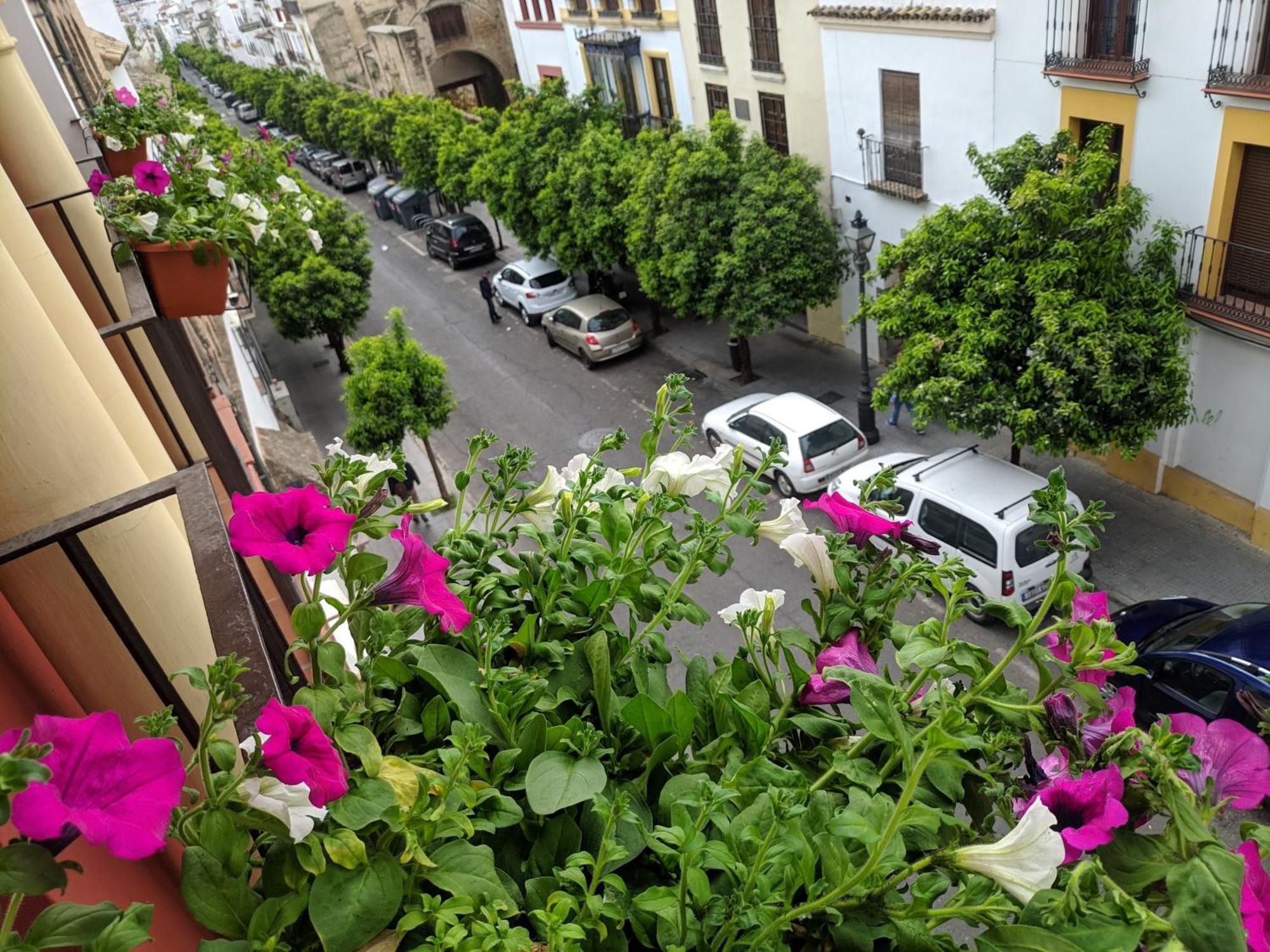 El Capricho De San Fernando, Consigna Gratis Y Parking A 200Mts Lejlighed Córdoba Eksteriør billede