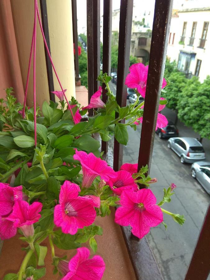 El Capricho De San Fernando, Consigna Gratis Y Parking A 200Mts Lejlighed Córdoba Eksteriør billede